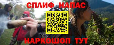 спиды Моздок