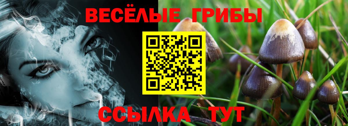 Урус-Мартан  Галлюциногенные грибы Psilocybine cubensis  Псилоцибиновые грибы MAGIC MUSHROOMS  Вход с VPN 